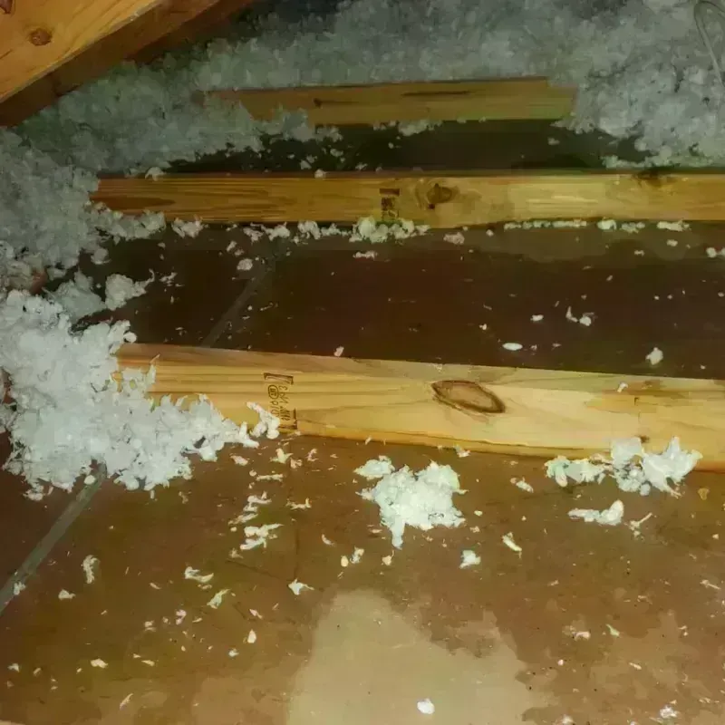 Attic Water Damage in Decatur, TN