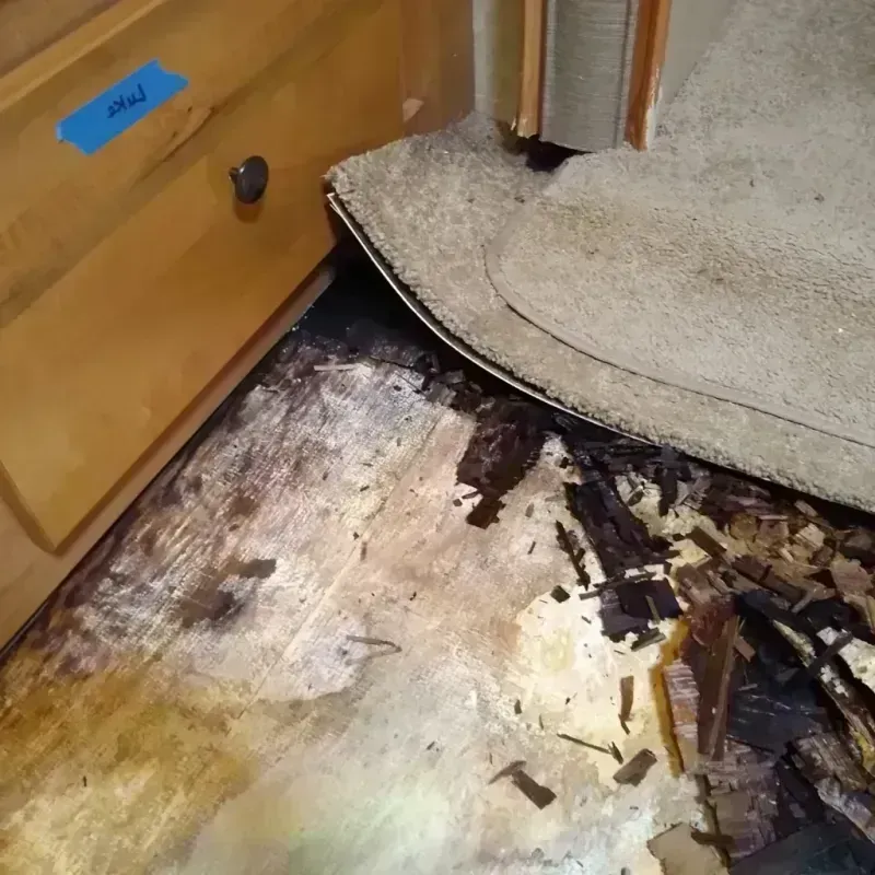 Wood Floor Water Damage in Decatur, TN